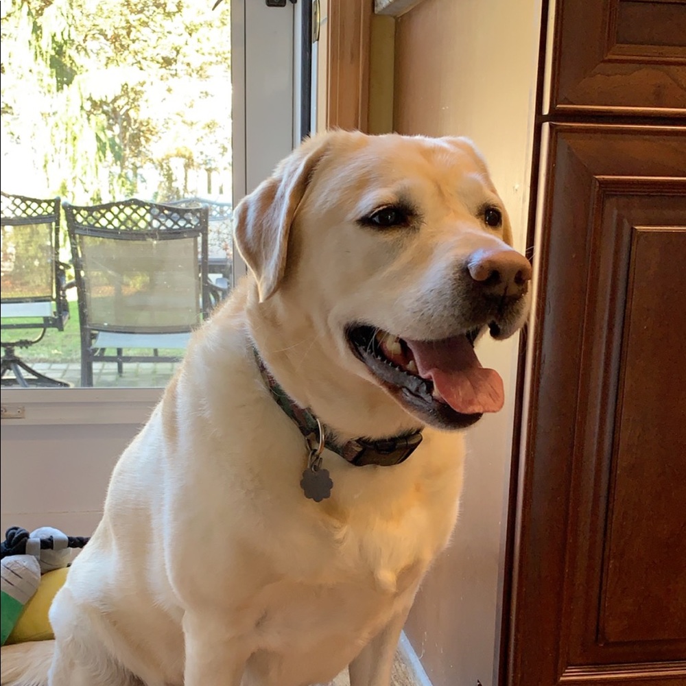 Meet your Posher, Kathleen